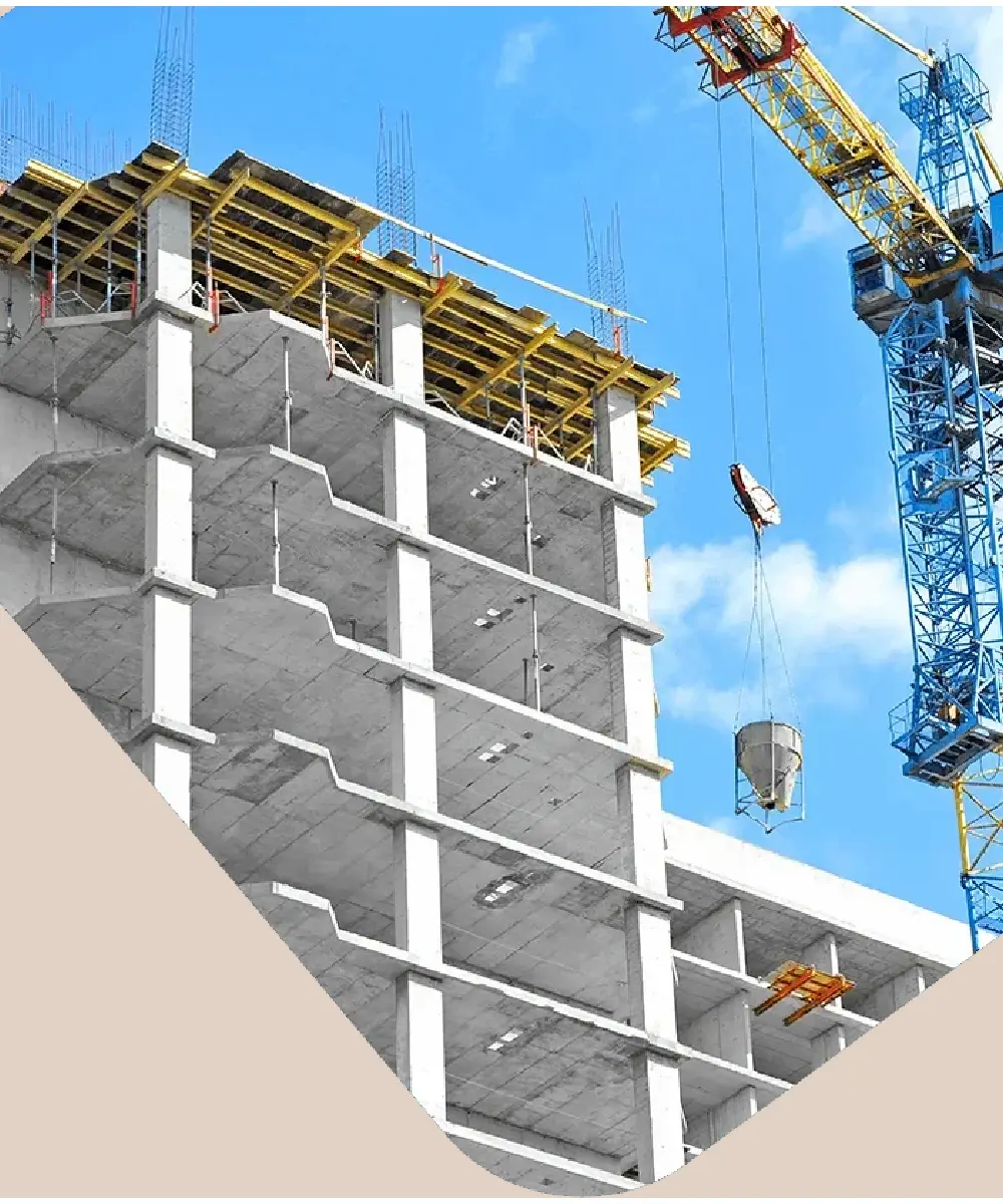 Dream Value Realtors Logo